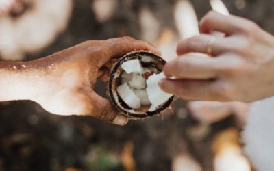 Bazna ulja – temelj aromaterapijskih pripravaka